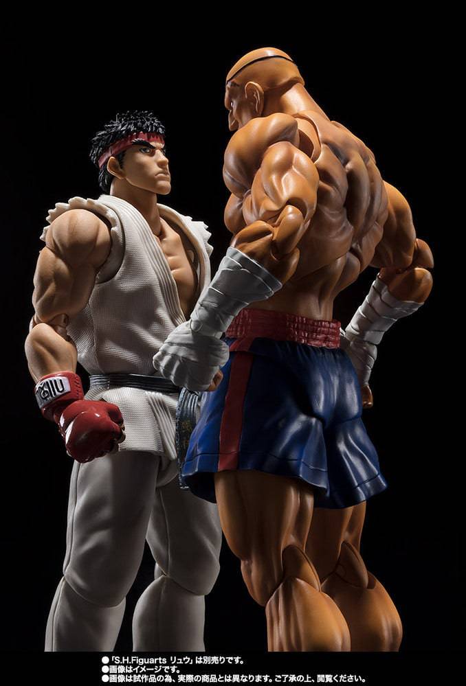 SHF SAGAT