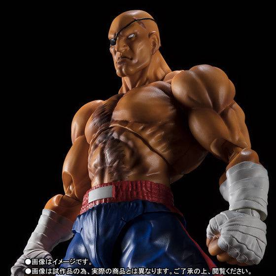 SHF SAGAT