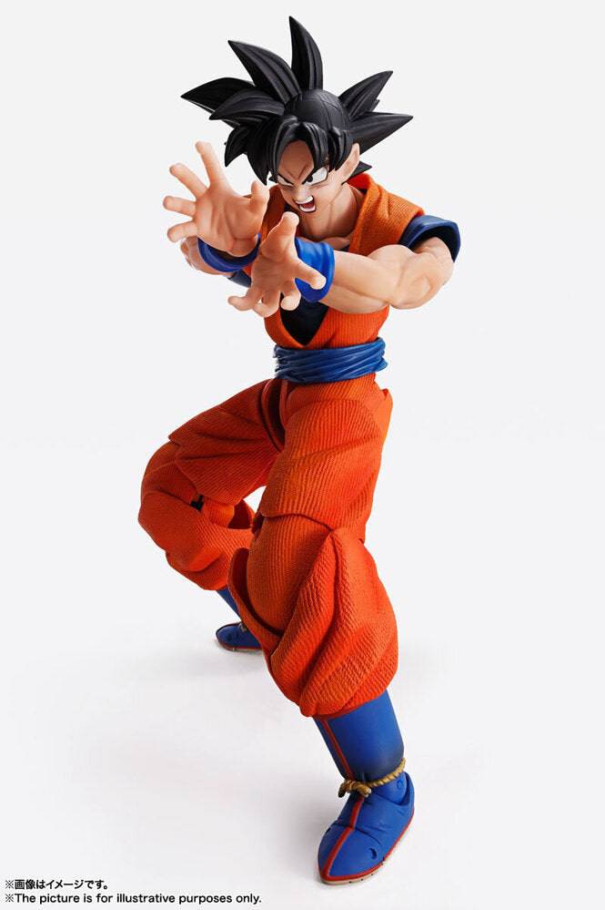 Imagination Works SON GOKU