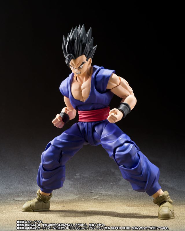 S.H.Figuarts Son Gohan Beast