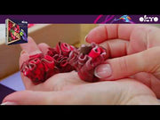 Wood & Craft DIY Succulents: Passion